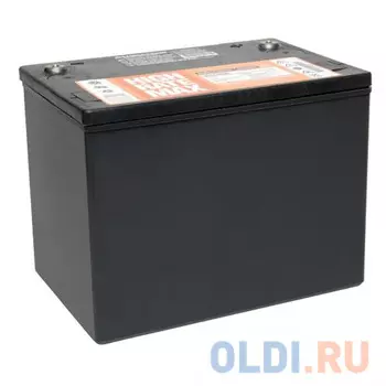 Батарея TrippLite 12V 75Ah 98-121