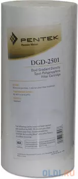 BB DGD-2501 Картридж Pentek мех. очистки двухступенчатый 25/01 мкм, ВВ10" вспененный полипропилен