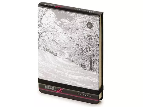 Бизнес-Блокнот А6, 100 л., твердая обложка картонная, открытие вверх, Bruno Visconti, "Природа"