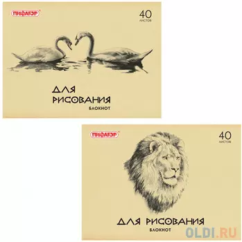 Блокнот для творчества BRAUBERG Лебеди/Лев A4 40 листов
