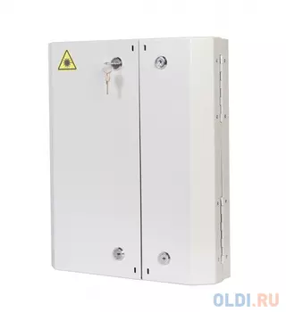 Бокс оптический настенный ЦМО 2 двери 2 замка до 48 портов БОН-Н-48.2