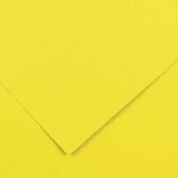 Бумага для творчества SADIPAL картон A2 1 лист 129968