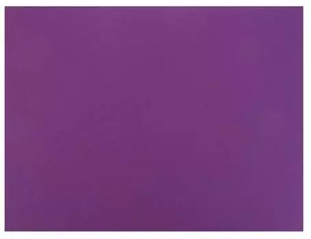 Бумага для творчества SADIPAL картон A2 1 лист 129937