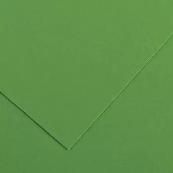 Бумага для творчества SADIPAL картон A2 1 лист 129970