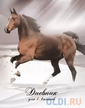 Дневник для младших классов Action! AD-14/1 линейка AD-14/1