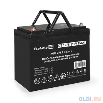 Exegate EX282983RUS Аккумуляторная батарея DT 1275 (12V 75Ah, под болт М6)