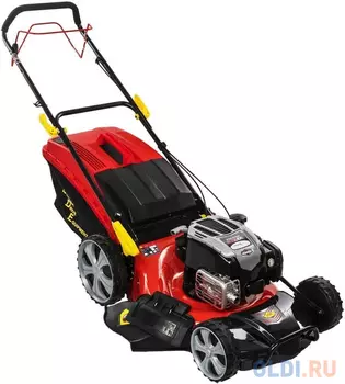 Газонокосилка бензиновая DDE LM 53-75 DB ( " Рапсодия " , самох., 53.5 cм, B&S 675 EX, 6л.с, 75л, 38