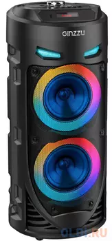 Ginzzu GM-220 {(V5.0), 24Вт, 150Гц- 18кГц, USB-flash, microSD-card, FM-радио, пульт ДУ, батарея 3,6В/2400мАч, эквалайзер}