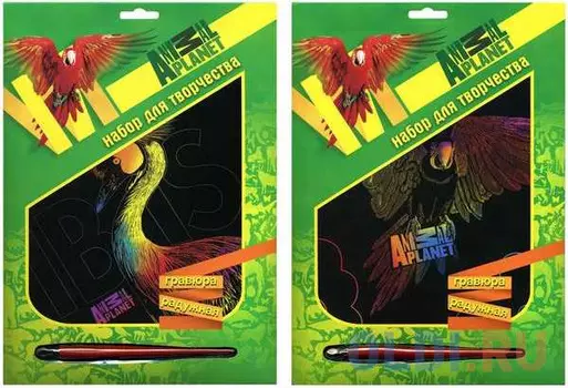 Гравюра ACTION! ANIMAL PLANET от 6 лет унисекс AP-FD080107