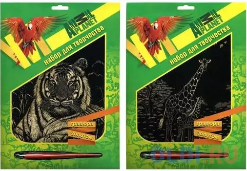 Гравюра ACTION! ANIMAL PLANET от 6 лет унисекс AP-FD080105