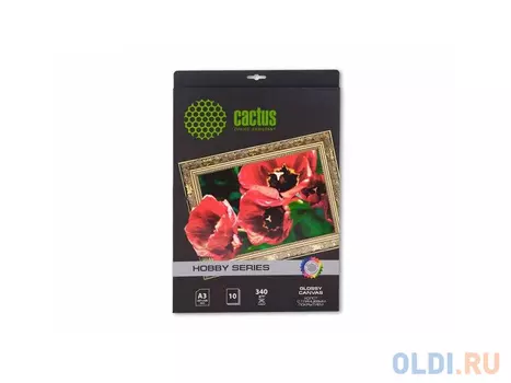 Холст Cactus CS-CGA334010 А3 340 г/м2 10л хлопковая глянцевая