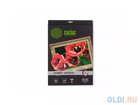 Холст Cactus CS-СA326010 А3 300 г/м2 10л хлопковая