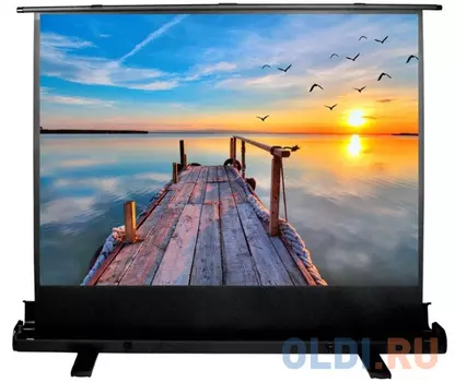 Экран Cactus 113x200см FloorExpert CS-PSFLE-200X113 16:9 напольный рулонный