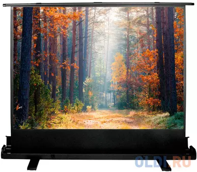 Экран Cactus 135x180см FloorExpert CS-PSFLE-180X135 4:3 напольный рулонный