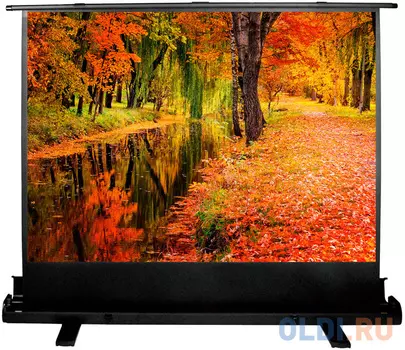 Экран Cactus 150x200см FloorExpert CS-PSFLE-200X150 4:3 напольный рулонный