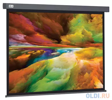 Экран настенный Cactus Wallscreen CS-PSW-152X203-SG 203 x 152 см