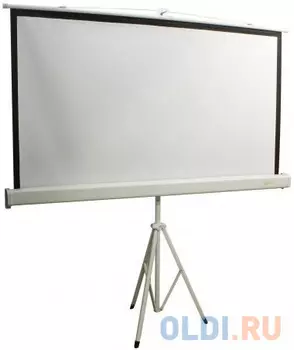 Экран Cactus Triscreen CS-PST-150x150 1:1 напольный 150x150 рулонный белый