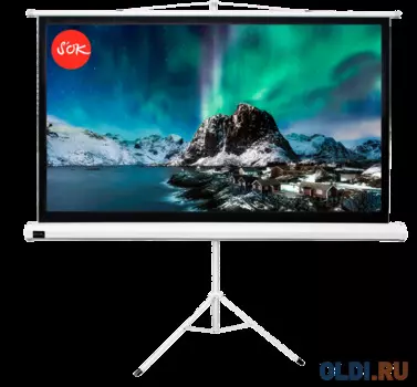 Экран для проектора S'OK SCPST-221x124GR 100'' 16:9 напольный, на треноге, матовый, серый