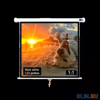 Экран для проектора S'OK SCPSW-220x220 123'' 1:1 настенно-потолочный, ручной, матовый, белый