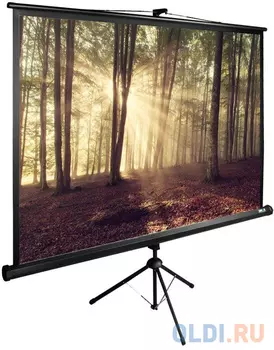 Экран напольный рулонный Cactus CS-PSTE-180Х135-BK 135 x 180 см