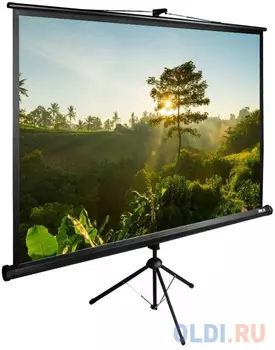 Экран напольный рулонный Cactus CS-PSTE-200Х200-BK 200 x 200 см