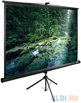 Экран напольный рулонный Cactus CS-PSTE-220Х165-BK 165 x 220 см