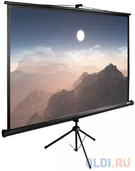 Экран напольный рулонный Cactus CS-PSTE-180X180-BK 180 x 180 см