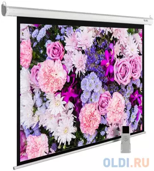 Экран настенно-потолочный Cactus MotoExpert CS-PSME-420x315-WT 420 x 315 см