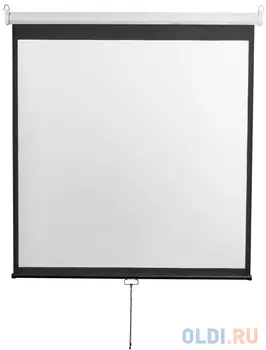 Экран настенно-потолочный Digis DSOD-1105 200 x 200 см