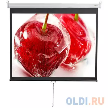Экран настенно-потолочный Digis Optimal-D DSOD-4304 формат 4:3 (180x240)