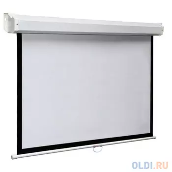 Экран настенный Digis Space DSSM-1108 300x300см MW