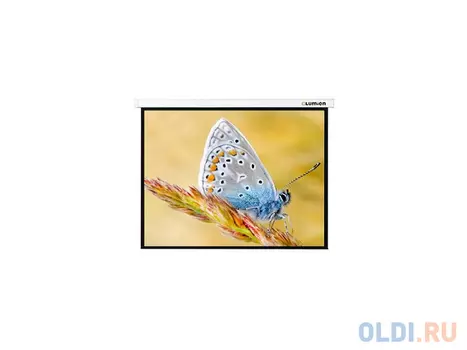 Экран настенный Lumien Master Control 117x200см с электроприводом LMC-100118