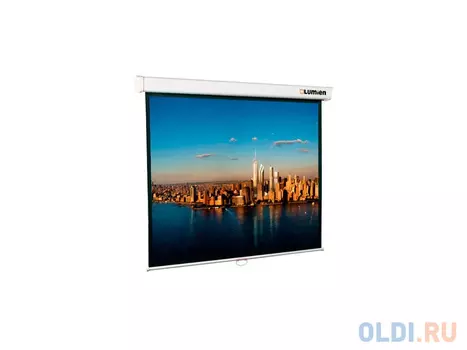 Экран настенный Lumien Master Picture 206х274 см Matte White FiberGlass LMP-100111