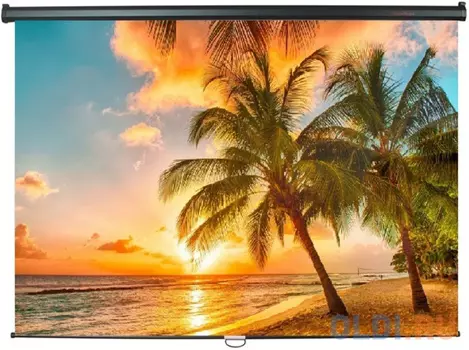 Экран настенный ScreenMedia Economy-P 150х150см SPM-1101