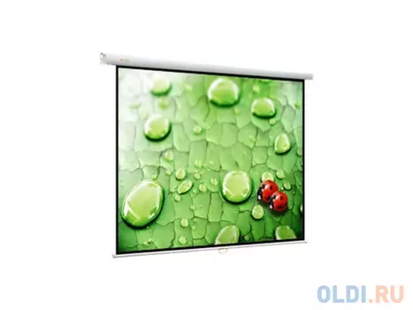 Экран настенный Viewscreen Lotus WLO-1104 1:1 203х203см MW ручной