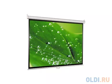 Экран настенный Viewscreen Scroll WSC-1103 1:1 200х200см MW ручной