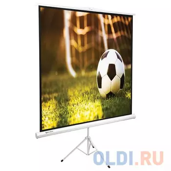 Экран переносной на штативе BRAUBERG TRIPOD 150 x 150 см 236729