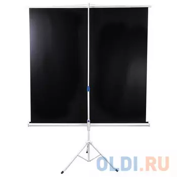 Экран переносной на штативе BRAUBERG TRIPOD 200 x 200 см 236731