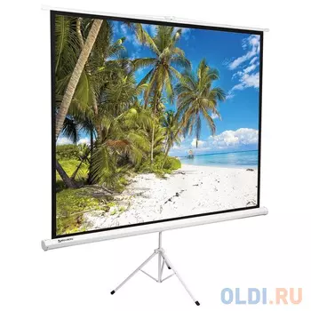 Экран проекционный BRAUBERG TRIPOD, матовый, на треноге, 150х200 см, 4:3, 236732