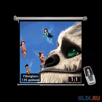 Экран S'OK SCPSM-250X250FG-GR Pro 139'' 1:1 настенно-потолочный, моторизованный, Fiberglass, серый