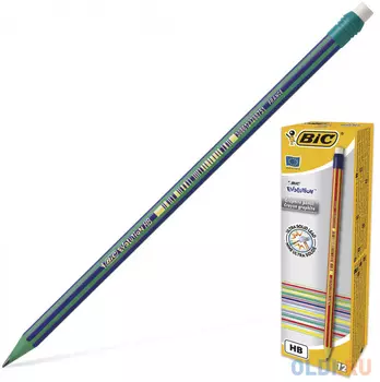Карандаш графитовый BIC "Evolution" 896034 17.5 см