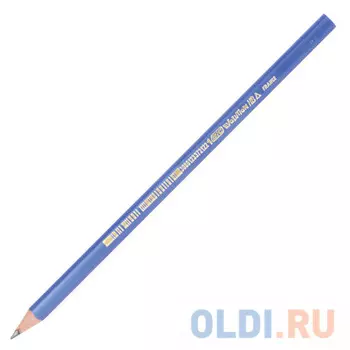 Карандаш графитовый BIC Evolution Triangle 173 мм чернографитный