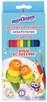 Карандаши цветные акварельные ЮНЛАНДИЯ "ЮНЫЙ ВОЛШЕБНИК", 12 цветов, шестигранные, заточенные