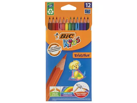 Карандаши цветные BIC "Kids ECOlutions Evolution", 12 цветов, пластиковые, заточенные, европодвес