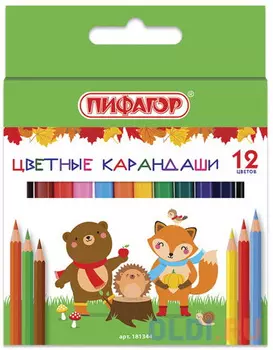 Карандаши цветные ПИФАГОР "МАЛЫШИ-КАРАНДАШИ", 12 цветов, укороченные заточенные, 181344