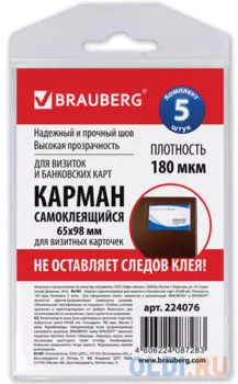 Карманы самоклеящиеся BRAUBERG, комплект 5 шт., 65х98 мм, для визитных карточек, 224076