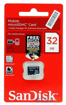 Карта памяти MicroSDHC 32GB SanDisk Class4 w/o adapter (SDSDQM-032G-B35)