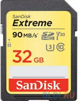 Карта памяти Sandisk SDHC 32Gb Class 10 (SDSDXVE-032G-GNCIN)