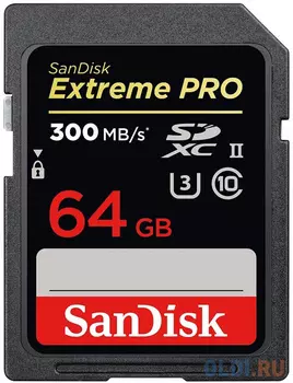 Карта памяти SDXC 64Gb Class 10 Sandisk SDSDXPK-064G-GN4IN