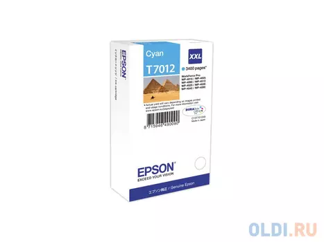 Картридж Epson C13T699000 C13T699000 3400стр Голубой